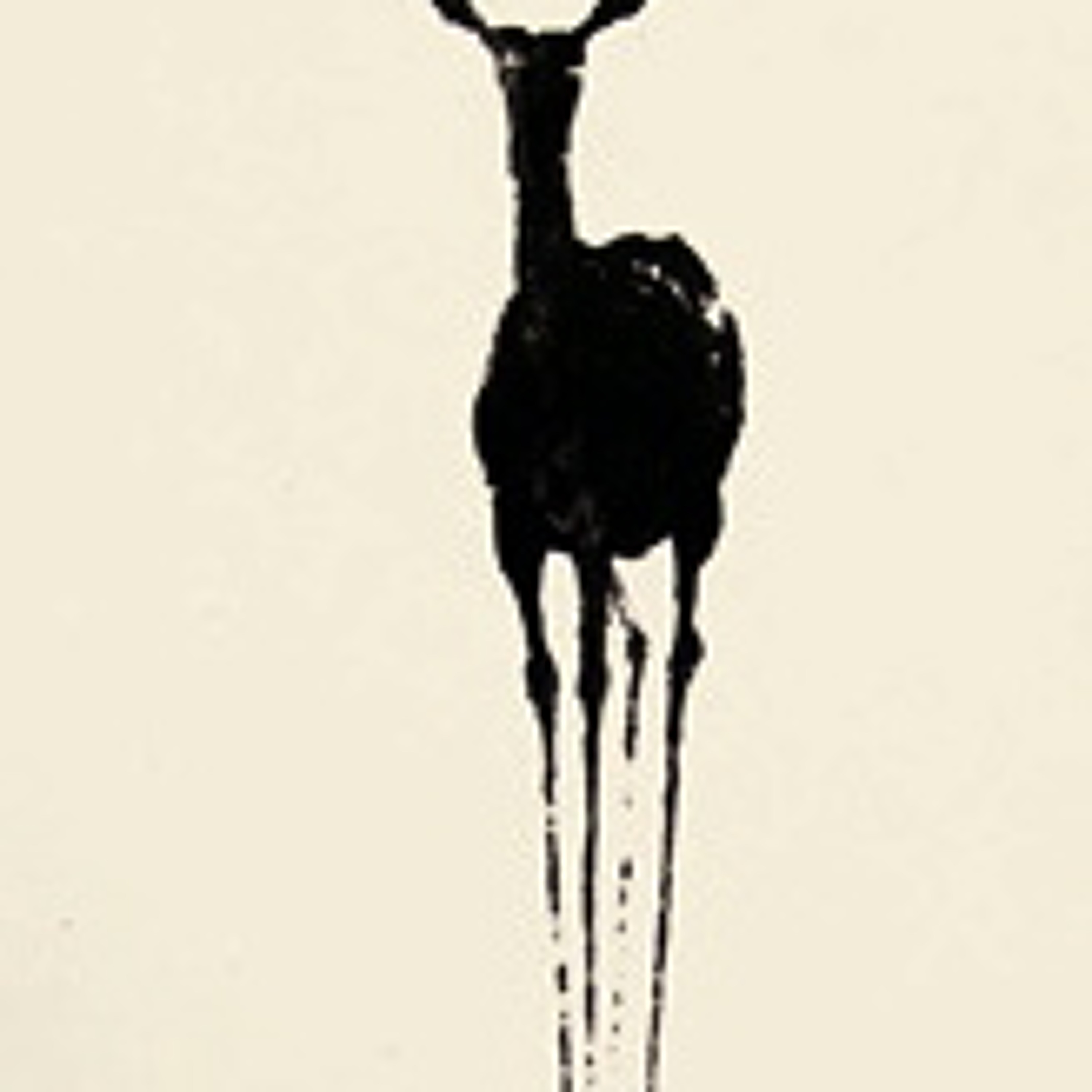 Buj