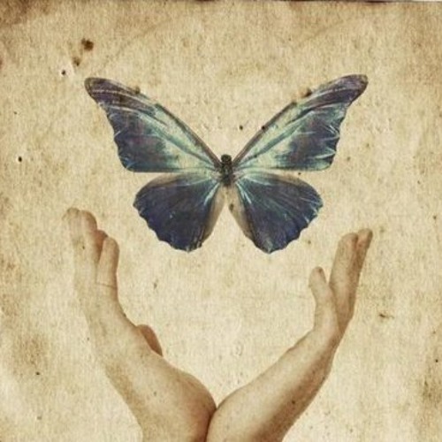 DreamBase - Teleport Verb