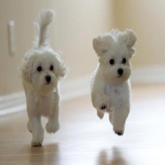 เติมใจให้กัน