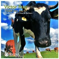 Victor Ruiz - I Look Into You (D-Nox & Beckers Mix)