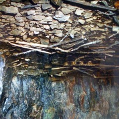 black sand blue sunshine