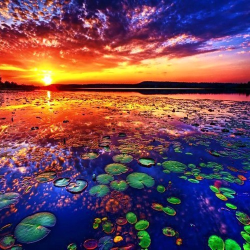 Afrojack & Steve Aoki feat. Miss Palmer - No Beef (Rolvario Remix)www.livingelectro.com