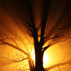 loopool - conviction in my heart