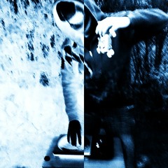 PEACHES - AA XXX [ SKELECTRO REMIX ]