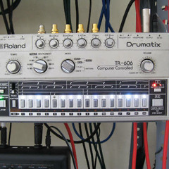 Blip Blasé - En Riddares Vardag