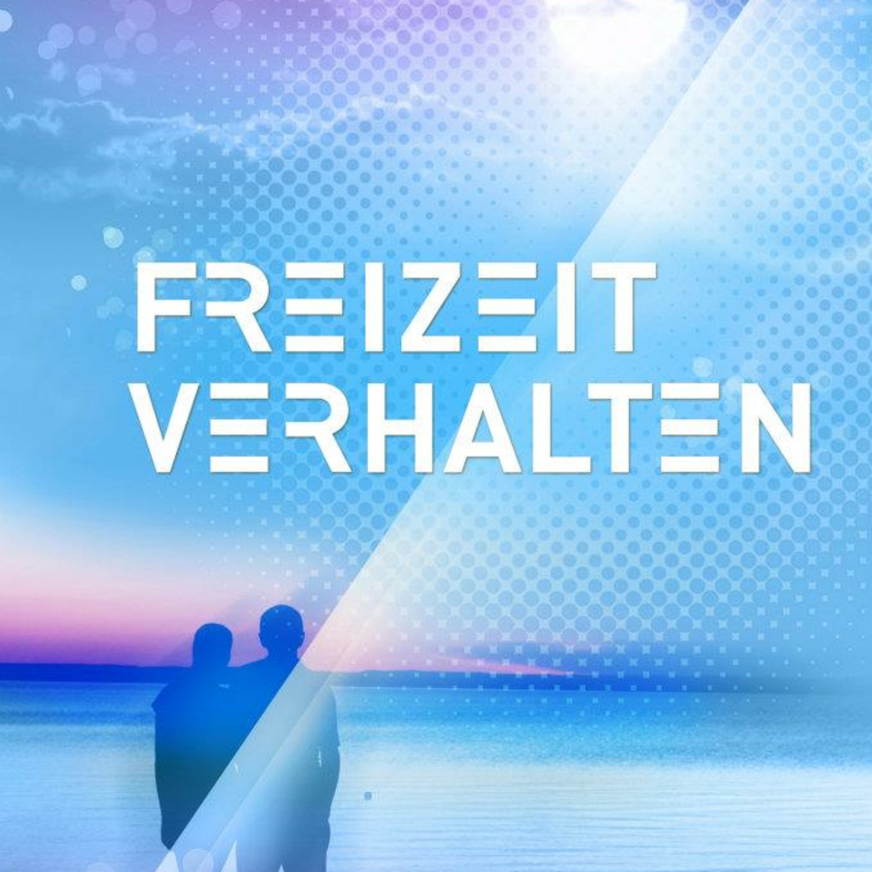 PIK-FEIN @ FreizeitVerhalten ⎜ Ein Haus im Grünen - Frankfurt a-M. ⎜ 08.06.12 episode artwork