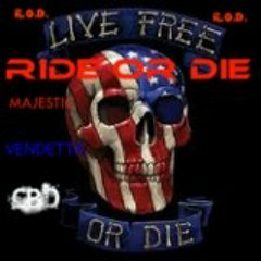 Ryder Muzic (Majestic, CBD, Vendetta)