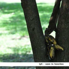 Tytt - Save to Favorites '2012 [exclusive mix for dj pasmo, radio 4]