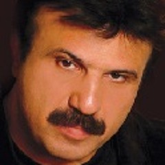 بیژن مرتضوی - ستاره