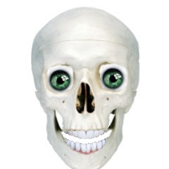 Bones of an madman part one