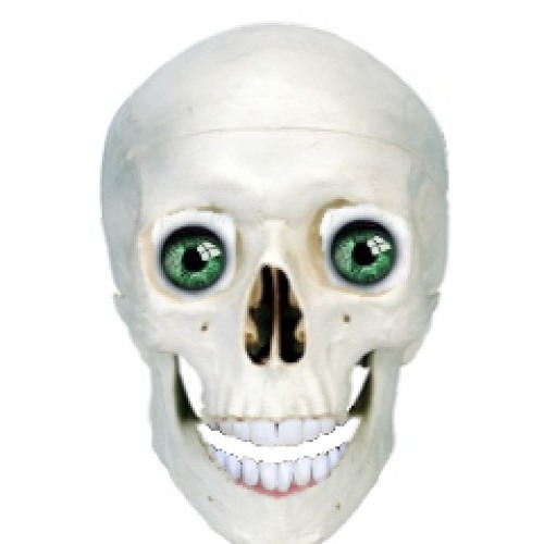 Bones of an madman part one