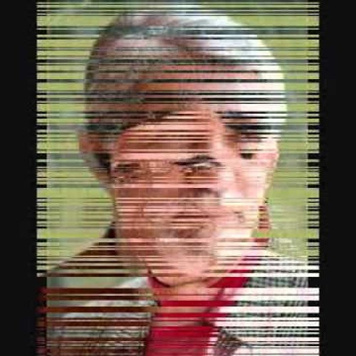 محمد رضا شجریان...رقص پروانه