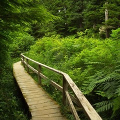 Hit The Trail