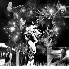 Koan Sound ft Marvin Gaye Zion I  & Brother Ali - The Caged Bird's Talk Box Sounds Just Like Music