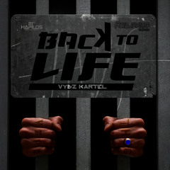 VYBZ KARTEL - BACK TO LIFE [RAW]