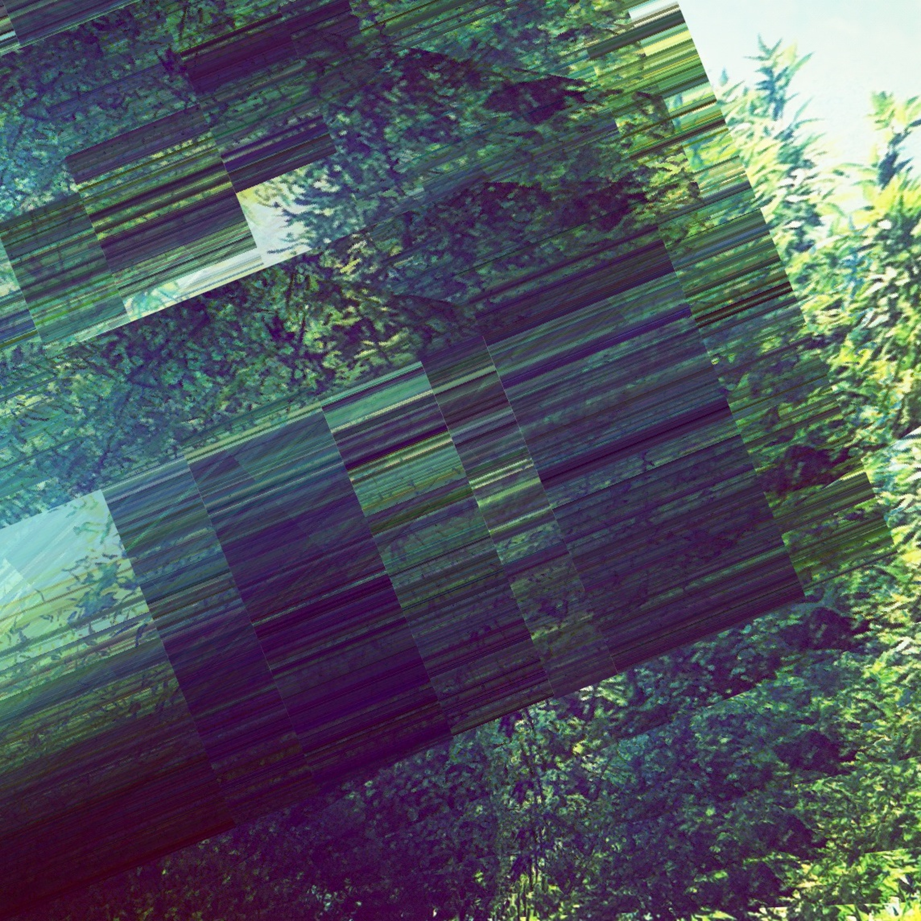 Mirrored (Back + Forth) [disquiet0023-palindrone] episode artwork