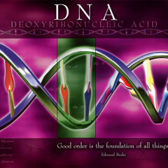 DNA - August 10th(Prod.Dom)