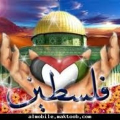 أمي فلسطين