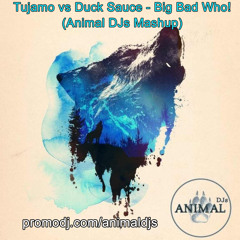 Tujamo vs Duck Sauce - Big Bad Who! (Leo Hart & Viktor Panin Mashup)