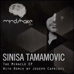 Sinisa Tamamovic - Riot - Mindshake Records