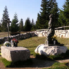 Hrvatski Guslar Dario Petrović  - Diva Grabovčeva