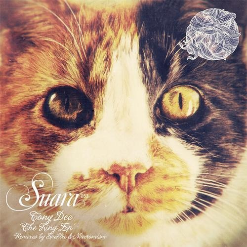 Tony Dee - Break Down (Spektre Remix) [Suara]