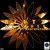 Artwork for Bl1tz - Assault (MartOpetEr Remix) OUT NOW ON ALL GOOD ONLINE SELLERS !!!!