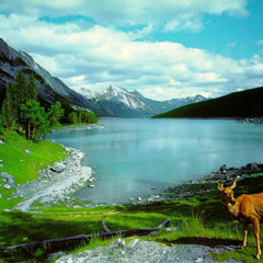 No Holly For Miss Quinn (by ENYA) played by Krista Lindenthal