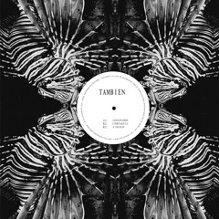 [Tambien001] THE TAMBIEN PROJECT