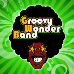 Groovy Wonder Band - Sing It Back (live at Canale 7)