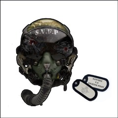 Sunday soundsystem SVFP live