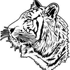 World Wildlife Foundation - SAVE THE TIGER PSA by Jacob Campbell