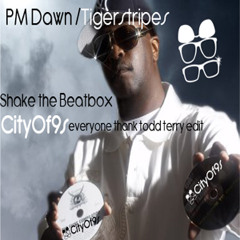 PM Dawn/Tigerstripes - Shake the beatbox (CityOf9s everyone thank Todd Terry Edit)