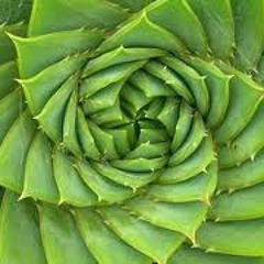 Art-Installation Meditation Sounds