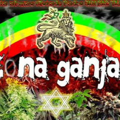 Zona ganja  Fumando vamos a casa Holographix RMX   MP3