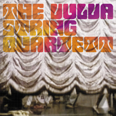 the vulva string quartett - cranberry song