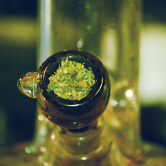 Bongzilla