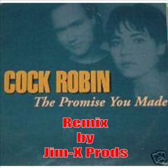 Jim-X feat Syreen - Promise you made 2K12 (Original extended Mix 320 kbps)