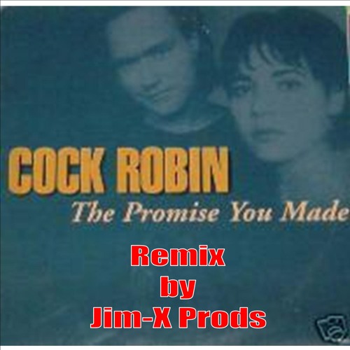 Jim-X feat Syreen - Promise you made 2K12 (Original extended Mix 320 kbps)