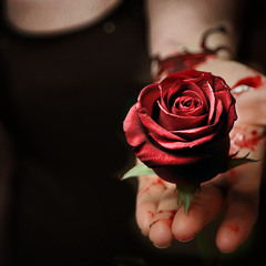 Pez - 121 Sometimes I Feel