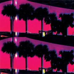 Ducktails - Seagull's Flight