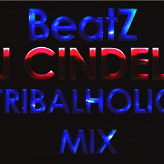 BeatZ (Dj Cindel's Tribaholic Mix)