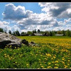 Sunny afternoon by D-sens