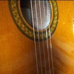 Red Hot Chili Peppers - Adventures of Raindance Maggie - Acoustic Cover