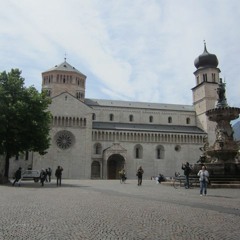 Penguin music trento live