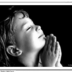 مقطع رائـــــع (( لمن ضاقت به الدنيا )) للشيخ محمد مختار الشنقيطي