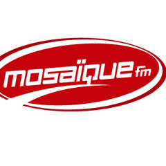 Dj StevoTn  - Session From Danjer Show 2012 (Mosaïque FM)