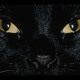 on Bakermat - Black Cat John Brown (Original Mix)
