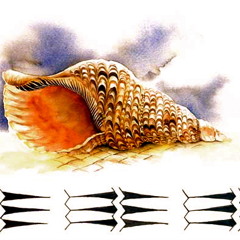 ainrich