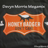 Devyn Morris - Honey Badger's Kicks (Mega-Mashup)